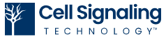 CST Logo