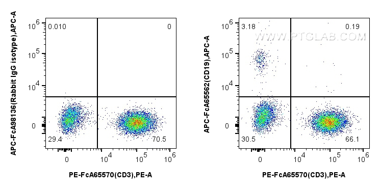 FcZero-rAb® Anti-Human CD19 (4G7) Rabbit Recombinant Antibody (15 conjugates/formats ) One universal isotypeSite-specific conjugationZero Fc receptor 产品图片
