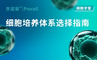 含血清 vs 无血清：细胞培养体系如何选择？ 封面