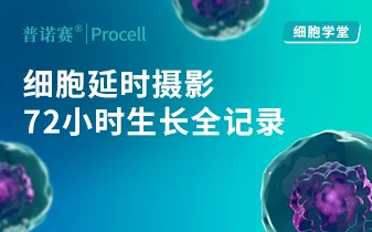 细胞状态好坏全靠猜？动态视角重构细胞生长与功能行为 封面