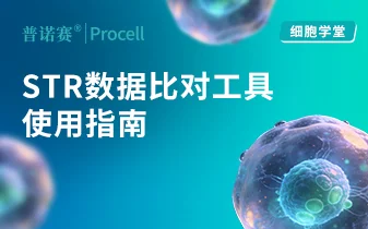 STR 数据比对做到眼花？这款在线工具帮你 3 分钟完成细胞身份验证 封面