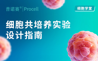 直接 vs 间接 vs 3D？共培养体系选择与实验设计要点解析 封面