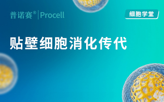 细胞学堂 | 告别贴壁细胞消化失败！解离试剂选择与消化终点判断干货汇总 封面