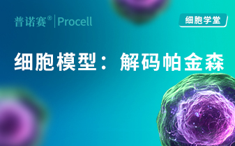 细胞学堂 | 世界帕金森日：聚焦细胞模型，解码疾病机制 封面