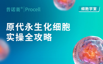 细胞学堂｜原代永生化细胞实操手册：培养、冻存、复苏全攻略 封面
