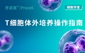 细胞学堂 | T 细胞养不好？体外培养指南来了，实验操作要点一篇讲清 封面