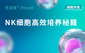 bug 产品图片